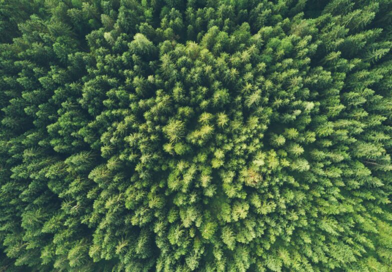 john-o-nolan-uMWPrcRsrto-unsplash john-o-nolan-uMWPrcRsrto-unsplash